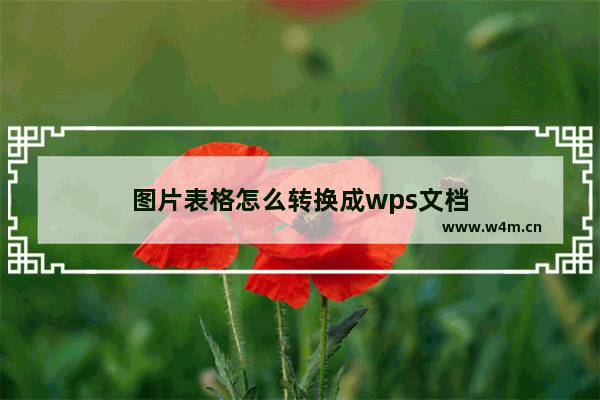 图片表格怎么转换成wps文档