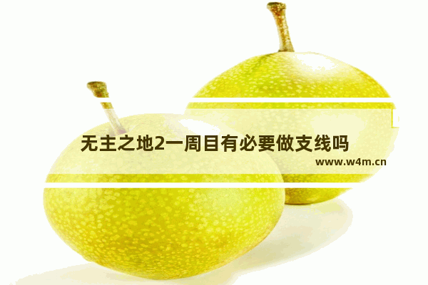 无主之地2一周目有必要做支线吗