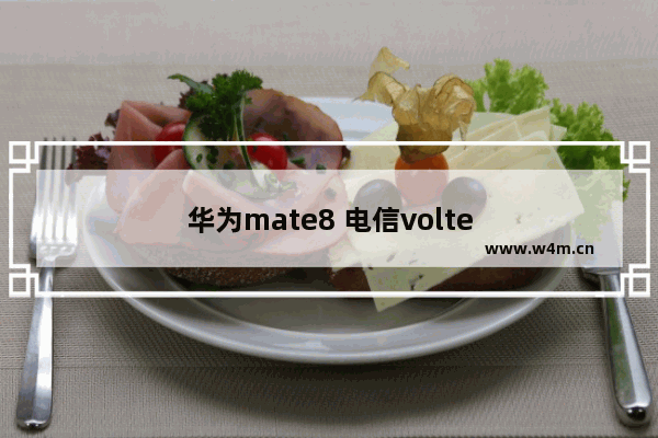 华为mate8 电信volte