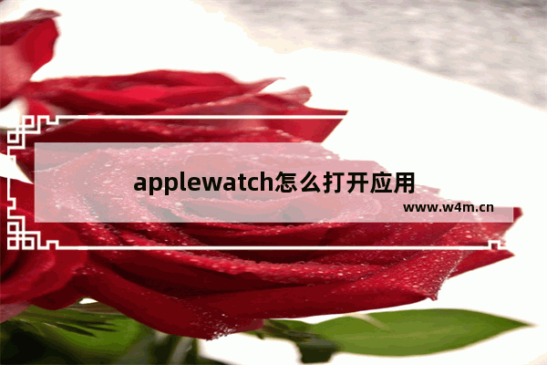 applewatch怎么打开应用