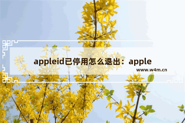 appleid已停用怎么退出：appleid已停用怎么退出登录