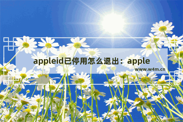 appleid已停用怎么退出：appleid已停用怎么退出登录