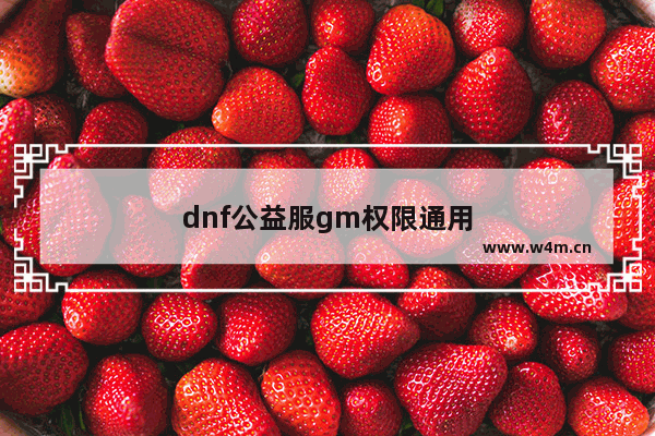 dnf公益服gm权限通用