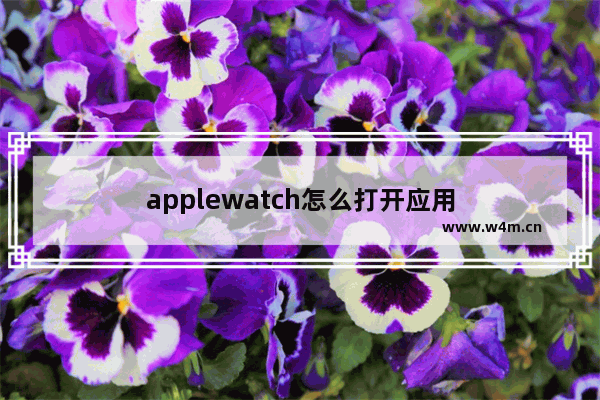 applewatch怎么打开应用