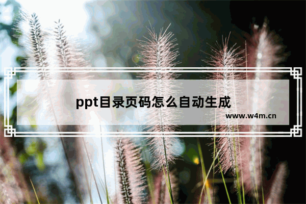 ppt目录页码怎么自动生成