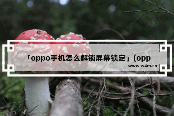 「oppo手机怎么解锁屏幕锁定」(oppo手机怎么解锁屏幕锁定和指纹解锁)