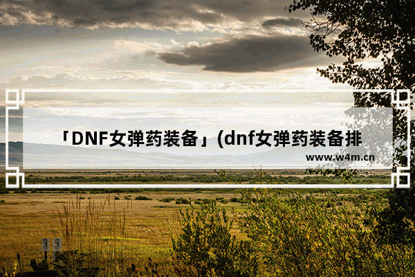 「DNF女弹药装备」(dnf女弹药装备排名)