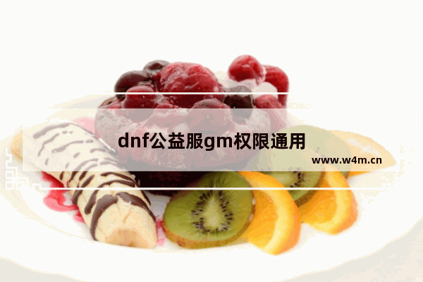 dnf公益服gm权限通用