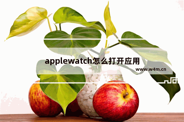 applewatch怎么打开应用