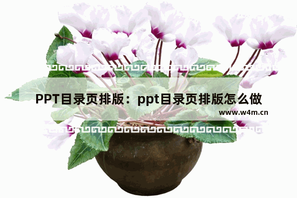 PPT目录页排版：ppt目录页排版怎么做