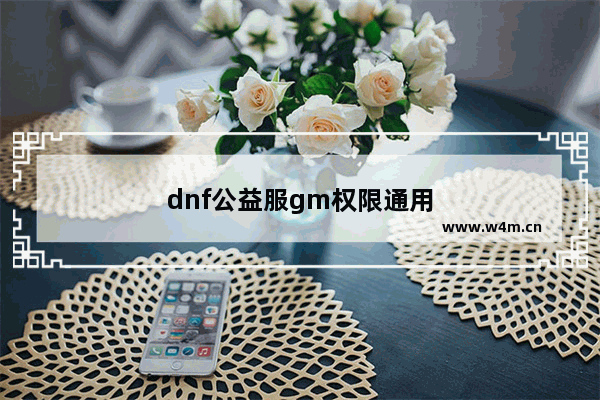 dnf公益服gm权限通用