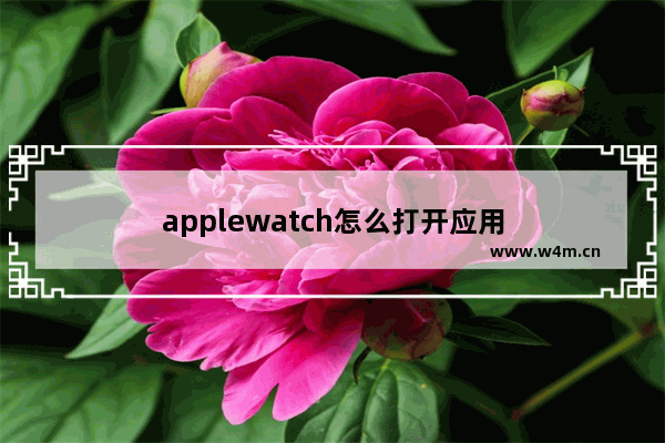 applewatch怎么打开应用