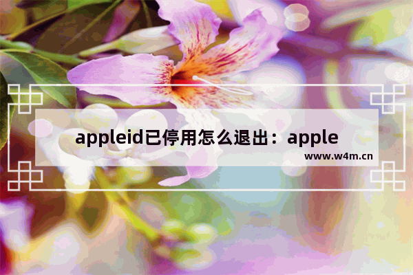 appleid已停用怎么退出：appleid已停用怎么退出登录