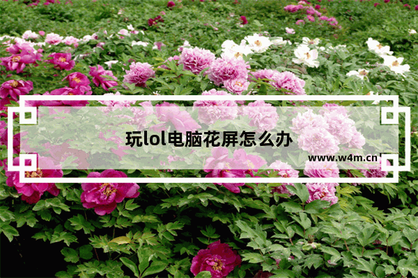 玩lol电脑花屏怎么办