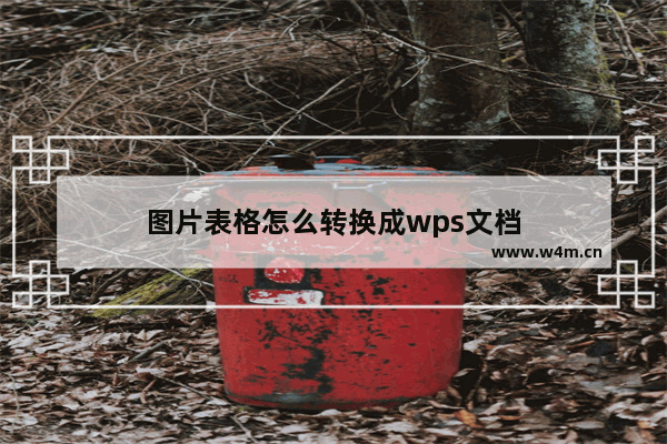 图片表格怎么转换成wps文档