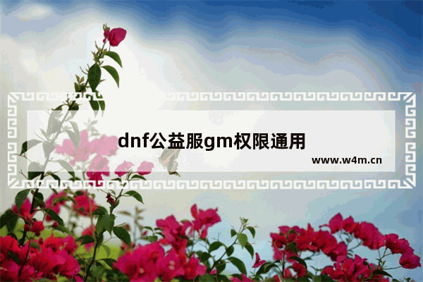 dnf公益服gm权限通用