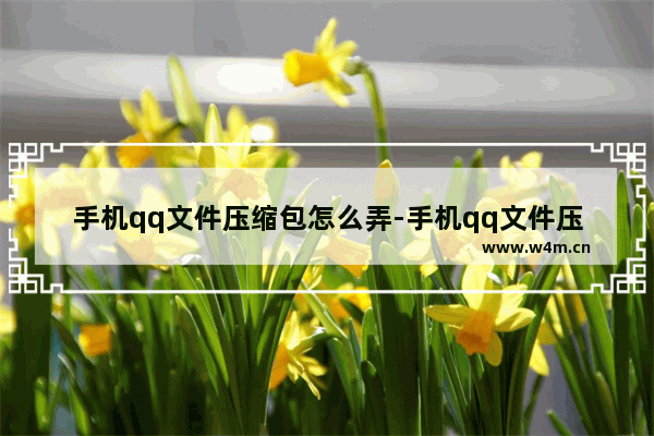 手机qq文件压缩包怎么弄-手机qq文件压缩包怎么弄出来