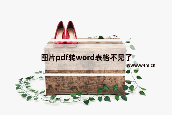 图片pdf转word表格不见了