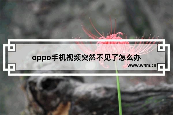 oppo手机视频突然不见了怎么办