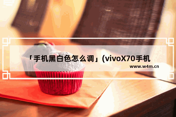 「手机黑白色怎么调」(vivoX70手机黑白色怎么调)