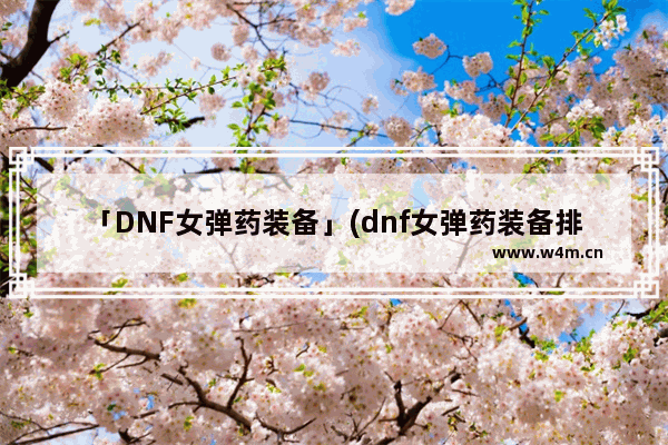 「DNF女弹药装备」(dnf女弹药装备排名)