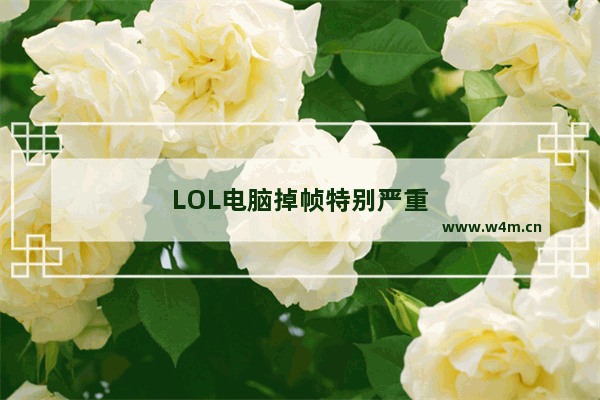 LOL电脑掉帧特别严重