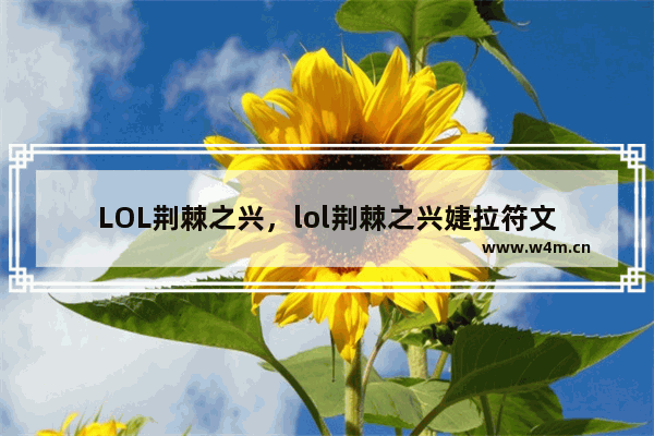 LOL荆棘之兴，lol荆棘之兴婕拉符文