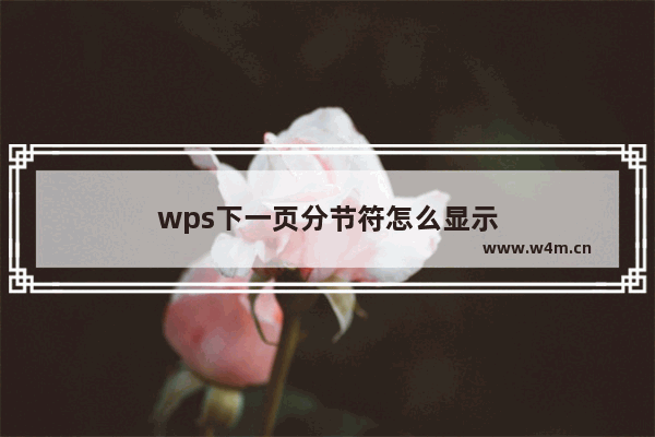 wps下一页分节符怎么显示