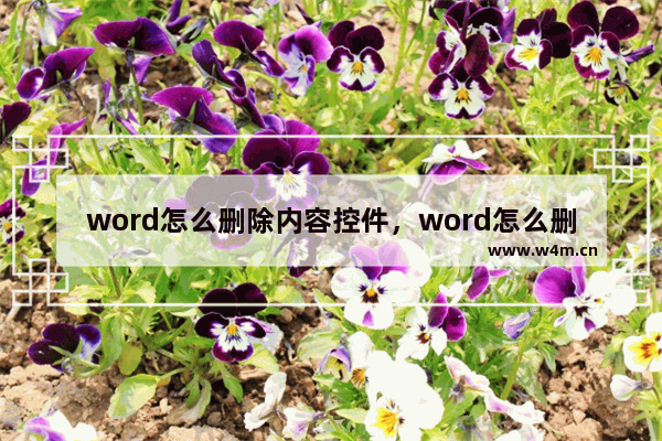 word怎么删除内容控件，word怎么删除内容控件内容