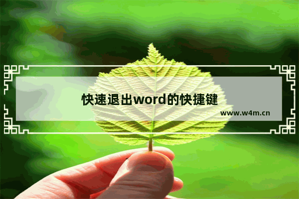 快速退出word的快捷键