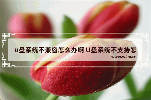 u盘系统不兼容怎么办啊 U盘系统不支持怎么办？