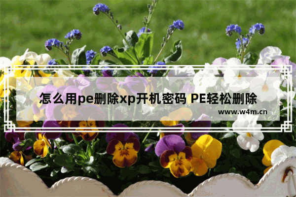 怎么用pe删除xp开机密码 PE轻松删除XP开机密码