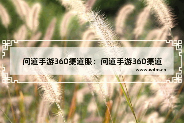 问道手游360渠道服：问道手游360渠道服账号存在风险