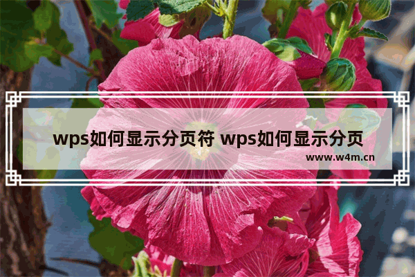 wps如何显示分页符 wps如何显示分页符分节符标记