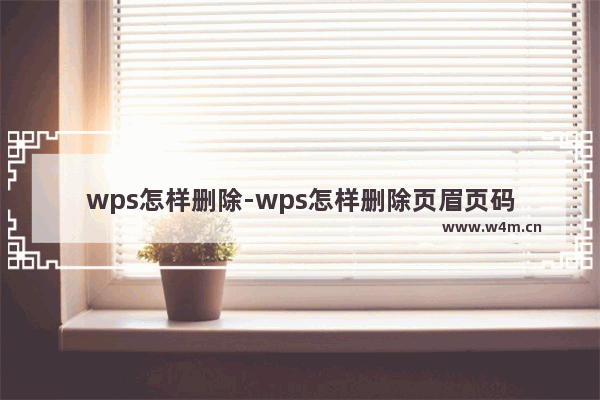 wps怎样删除-wps怎样删除页眉页码