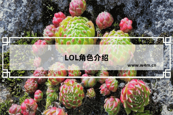 LOL角色介绍