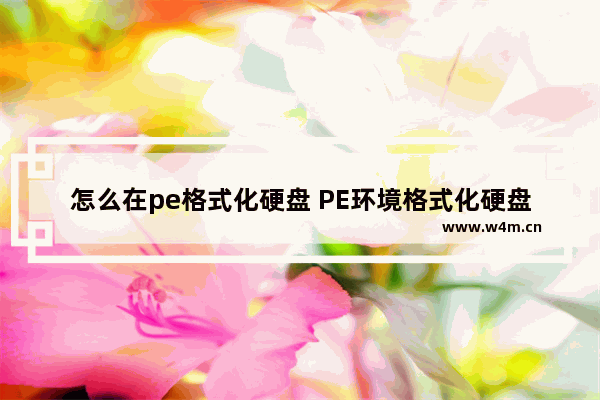 怎么在pe格式化硬盘 PE环境格式化硬盘