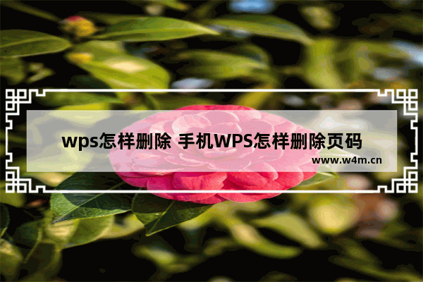 wps怎样删除 手机WPS怎样删除页码