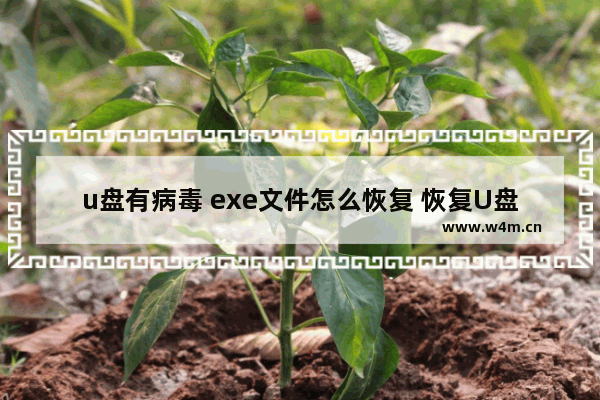 u盘有病毒 exe文件怎么恢复 恢复U盘中被病毒感染的exe文件