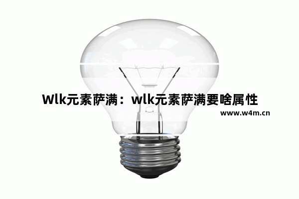 Wlk元素萨满：wlk元素萨满要啥属性