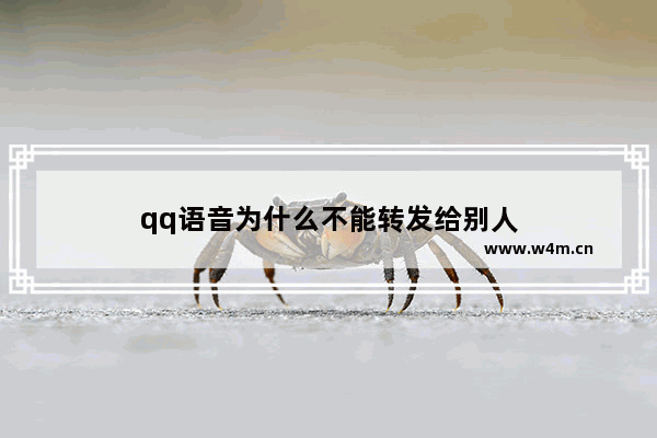 qq语音为什么不能转发给别人