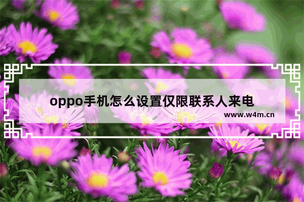 oppo手机怎么设置仅限联系人来电