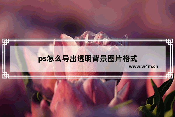 ps怎么导出透明背景图片格式