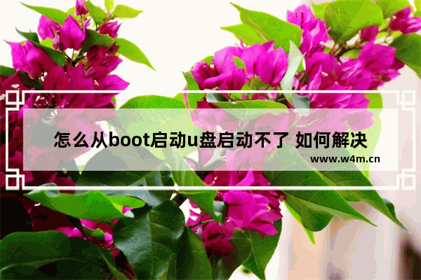 怎么从boot启动u盘启动不了 如何解决无法从U盘启动的问题