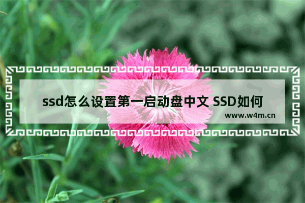 ssd怎么设置第一启动盘中文 SSD如何设置为中文第一启动盘？