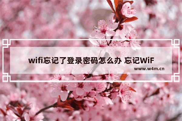 wifi忘记了登录密码怎么办 忘记WiFi密码怎么办？