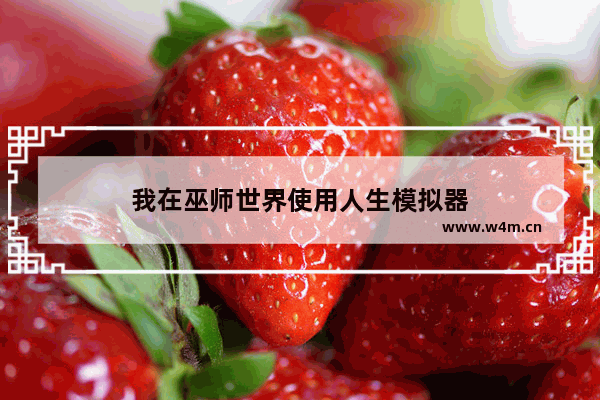 我在巫师世界使用人生模拟器