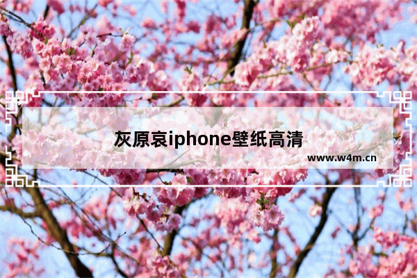 灰原哀iphone壁纸高清