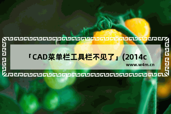 「CAD菜单栏工具栏不见了」(2014cad菜单栏工具栏不见了怎么显示出来)