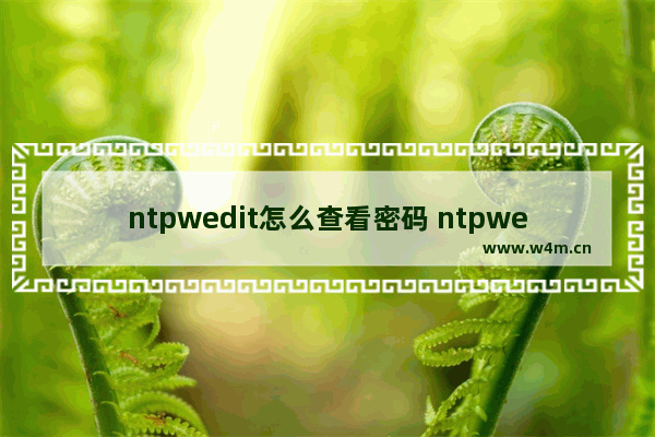 ntpwedit怎么查看密码 ntpwedit如何查看密码